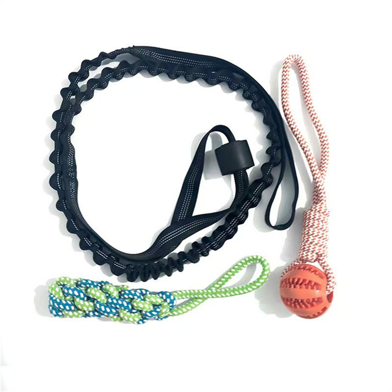 Elastic Dog Chew Toy Set with Spring Bar and Rope Toys