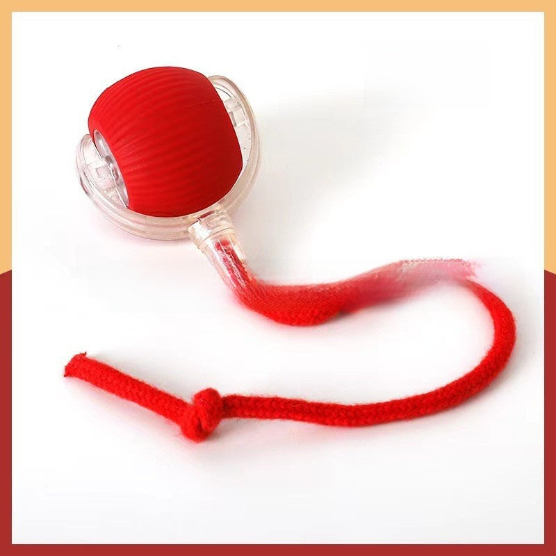 Intelligent Automatic Dog Toy Ball
