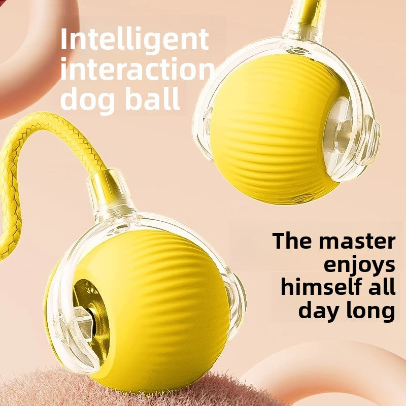 Intelligent Automatic Dog Toy Ball