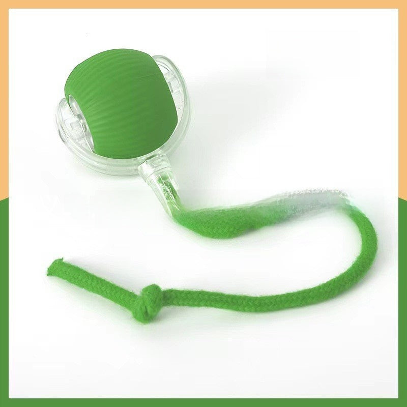 Intelligent Automatic Dog Toy Ball