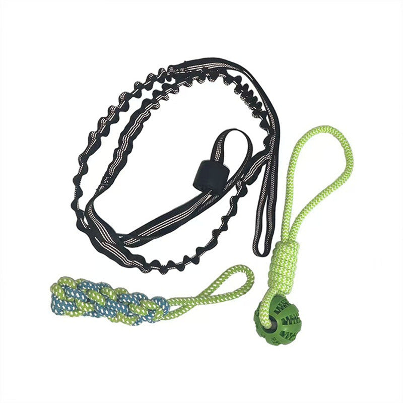 Elastic Dog Chew Toy Set with Spring Bar and Rope Toys