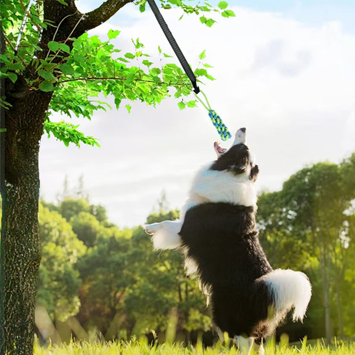 Elastic Dog Chew Toy Set with Spring Bar and Rope Toys