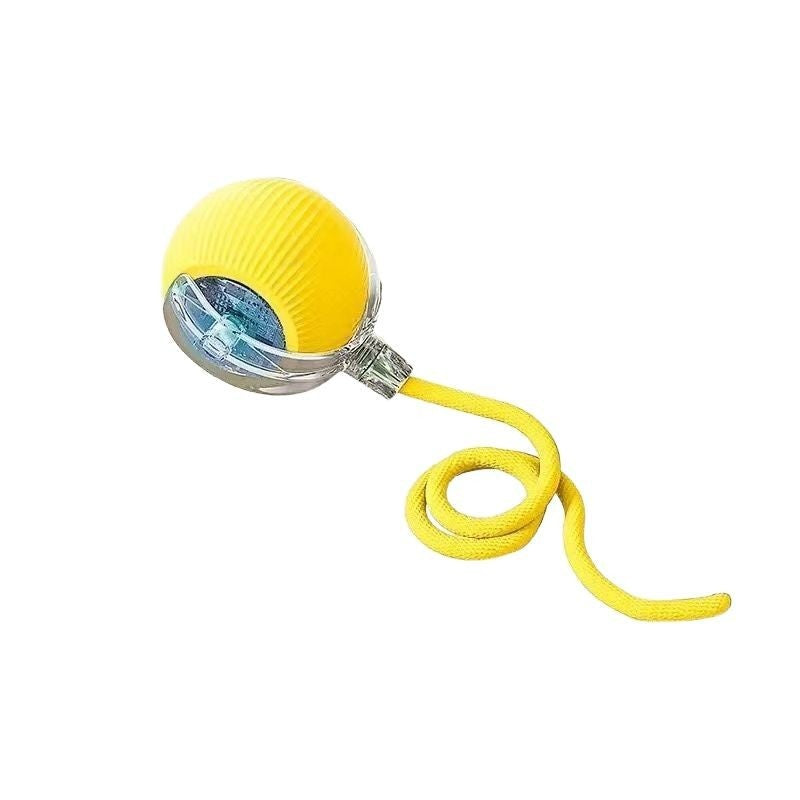 Intelligent Automatic Dog Toy Ball